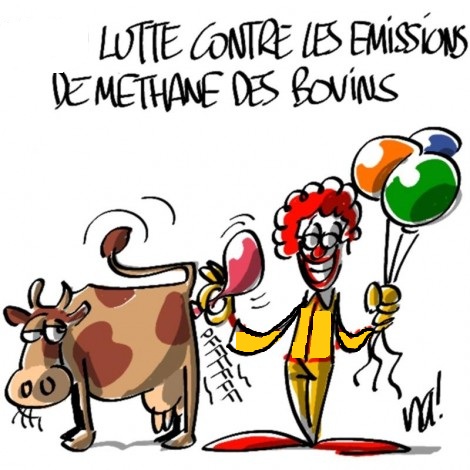 Emissions méthane bovins