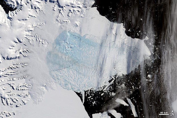 Ice Shelf plateforme Larsen