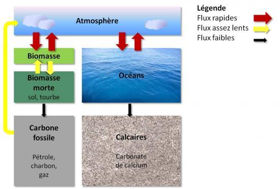 carbone datant de l’âge de Pierre