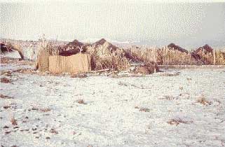 Hiver 1960, non loin de Ben S'Rour (©Albert Devaud)