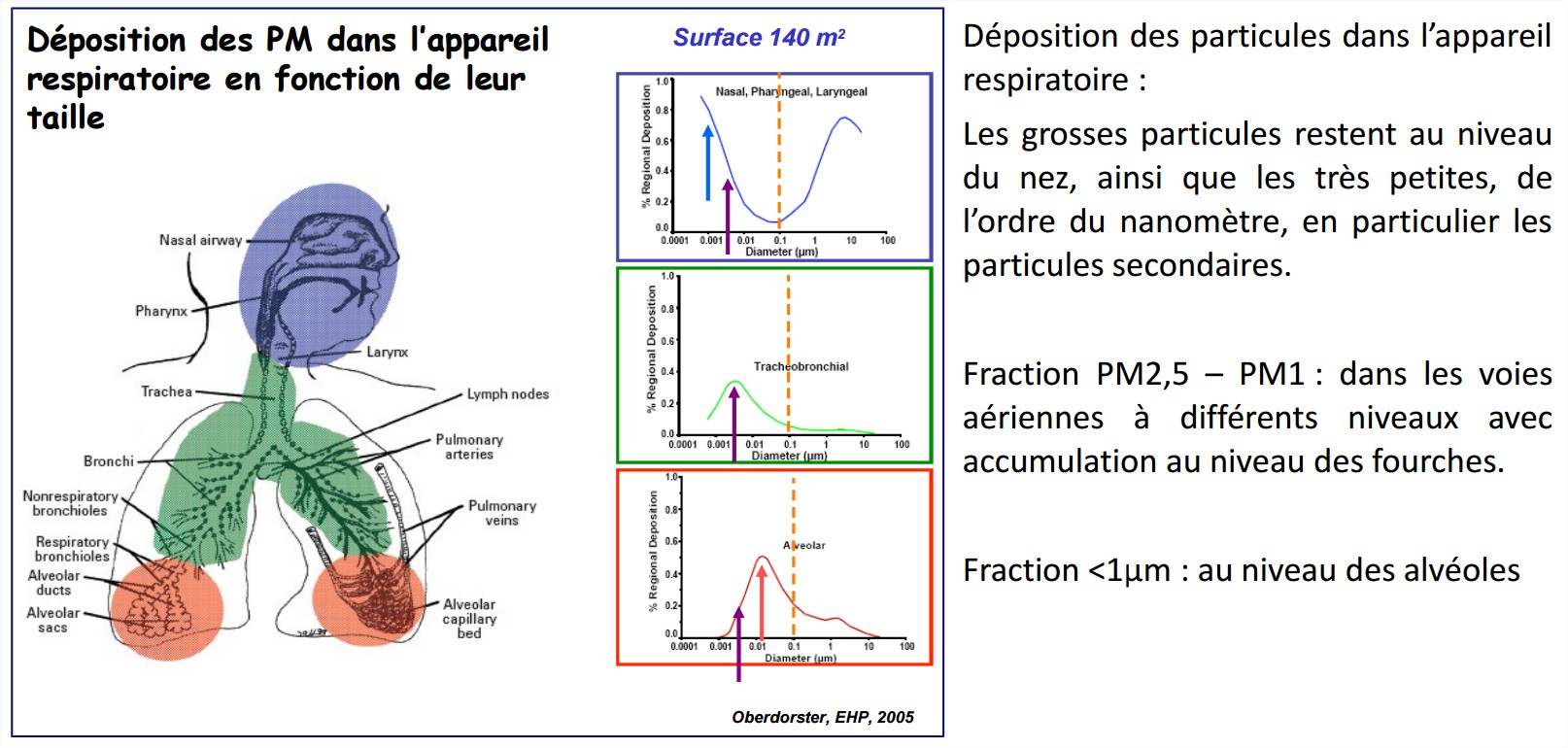 pollution air particules