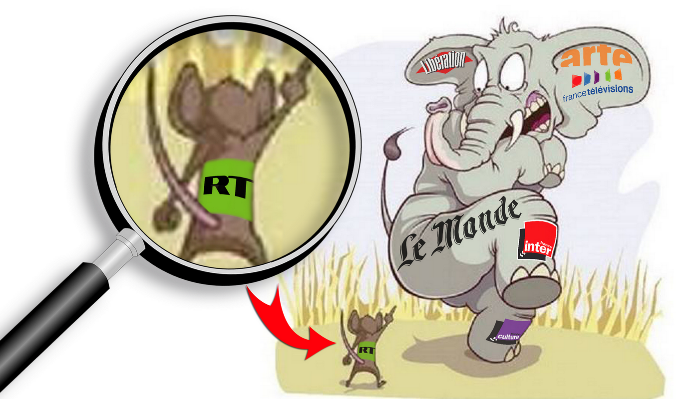 Macron president - Page 6 Elephant-souris